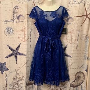 Modcloth Marina Royal Blue Lace Overlay Dress 14